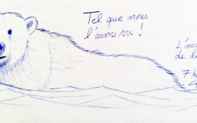 Témoignages